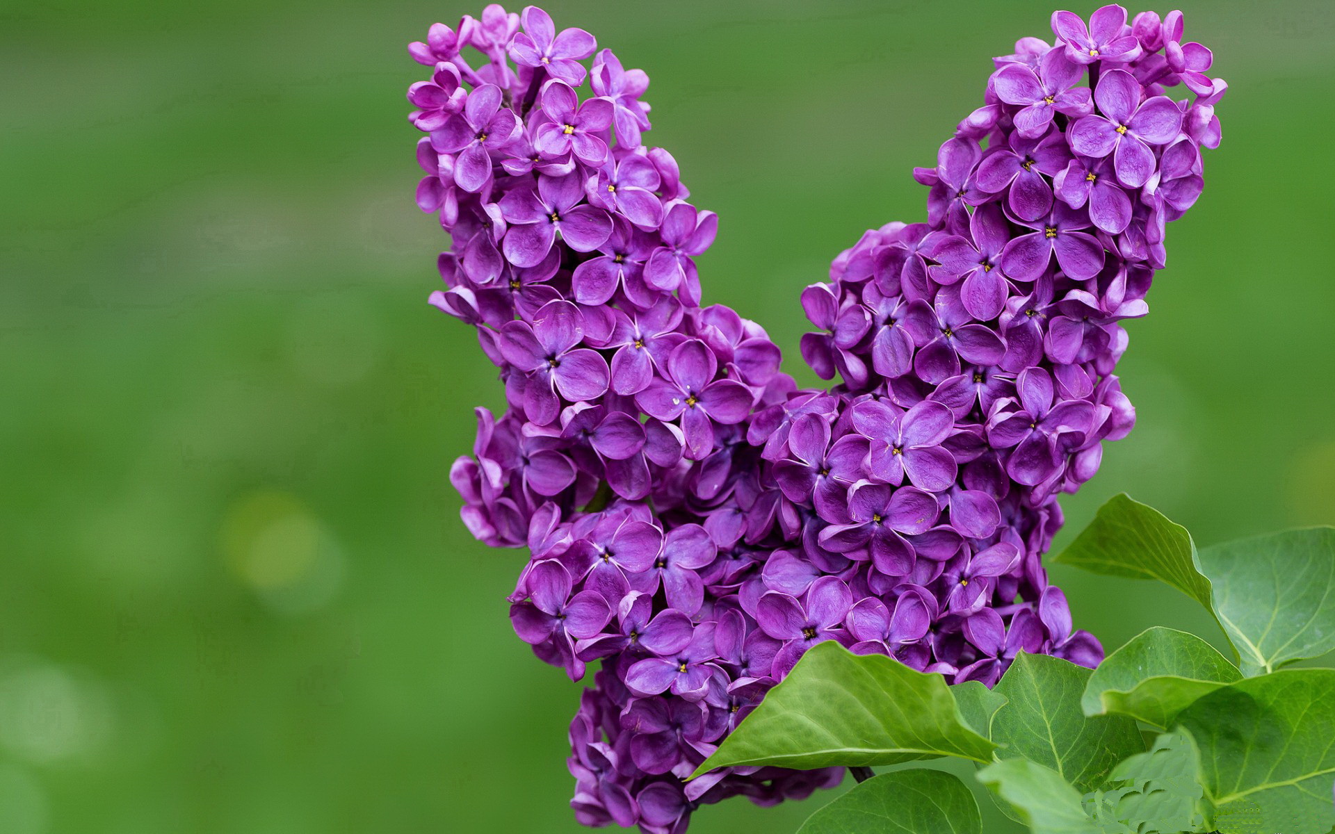 【训练心得】避免犯规的实战技巧指导，如何避免违反规则