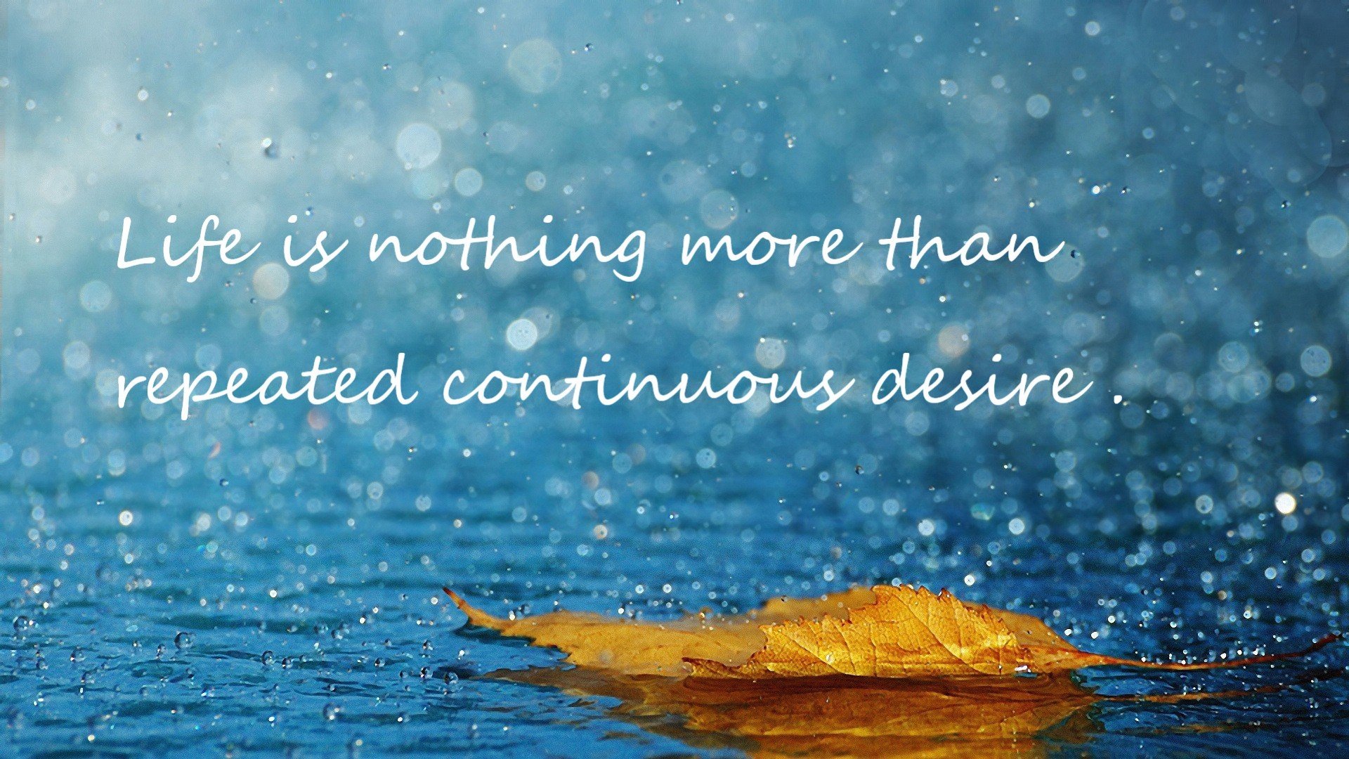 _猛龙防守严密,成功击败对手_,猛龙强吗