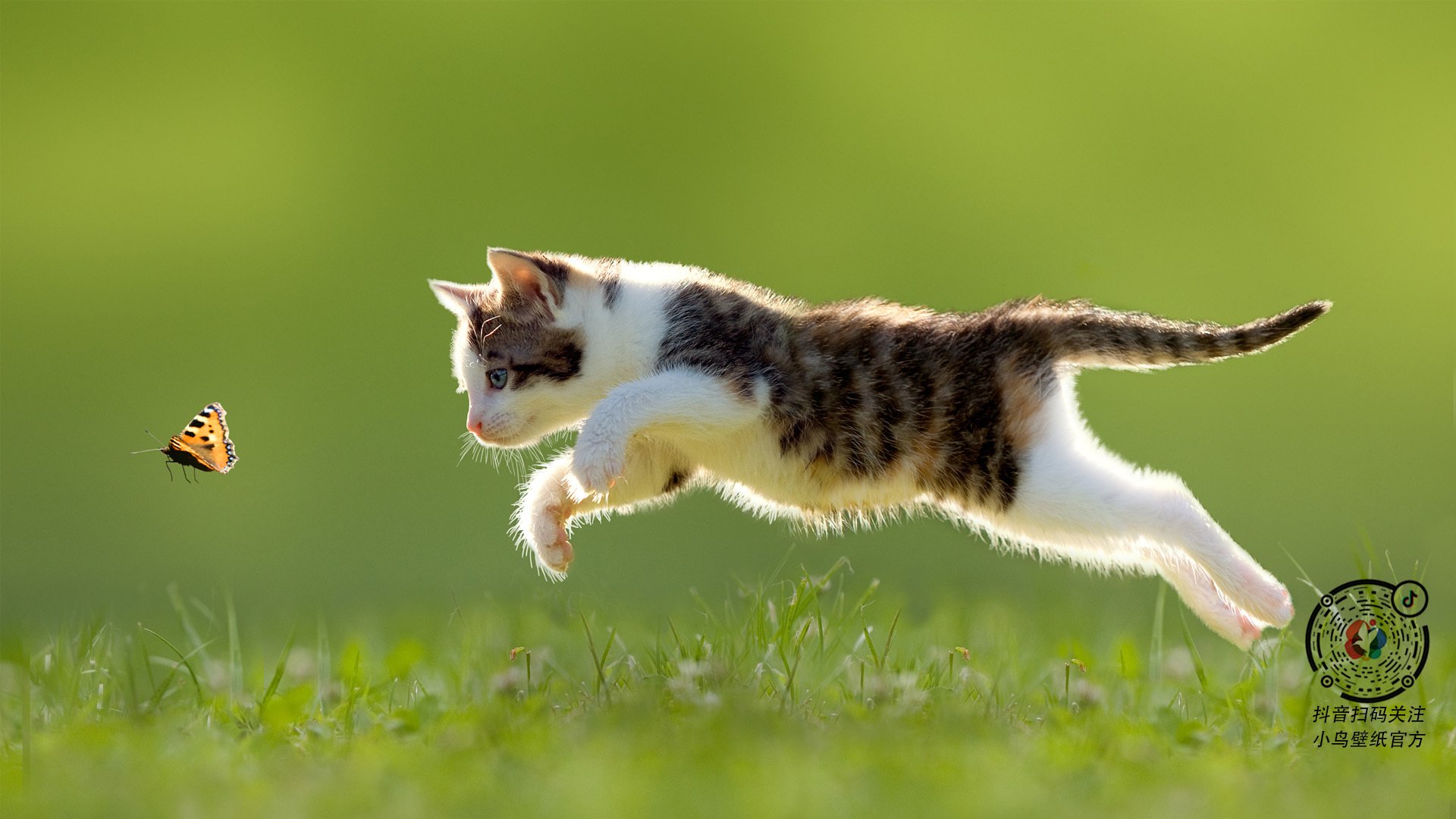 《未来电竞场馆：虚拟与现实融合的全沉浸体验》，未来电竞市场前景巨大