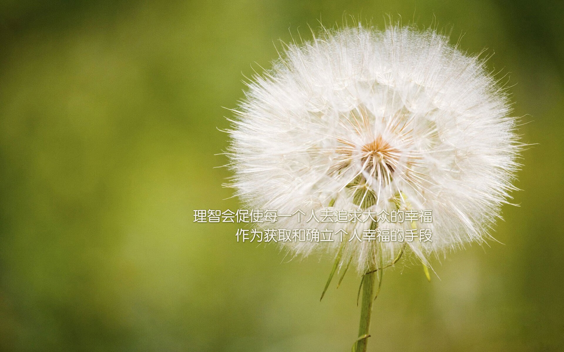 爱游戏体育官网-传奇阵容：历史最佳十人阵容和赛场表现，当年传奇最厉害的人