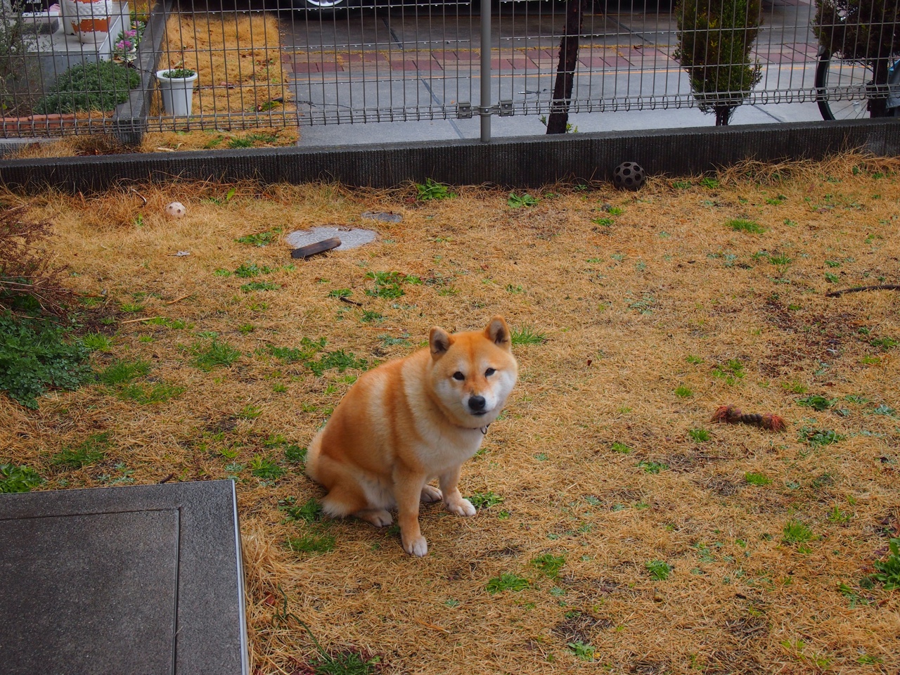 史上最疯狂的外线投篮全集:谁敢挑战纪录?,外线投篮是三分球吗