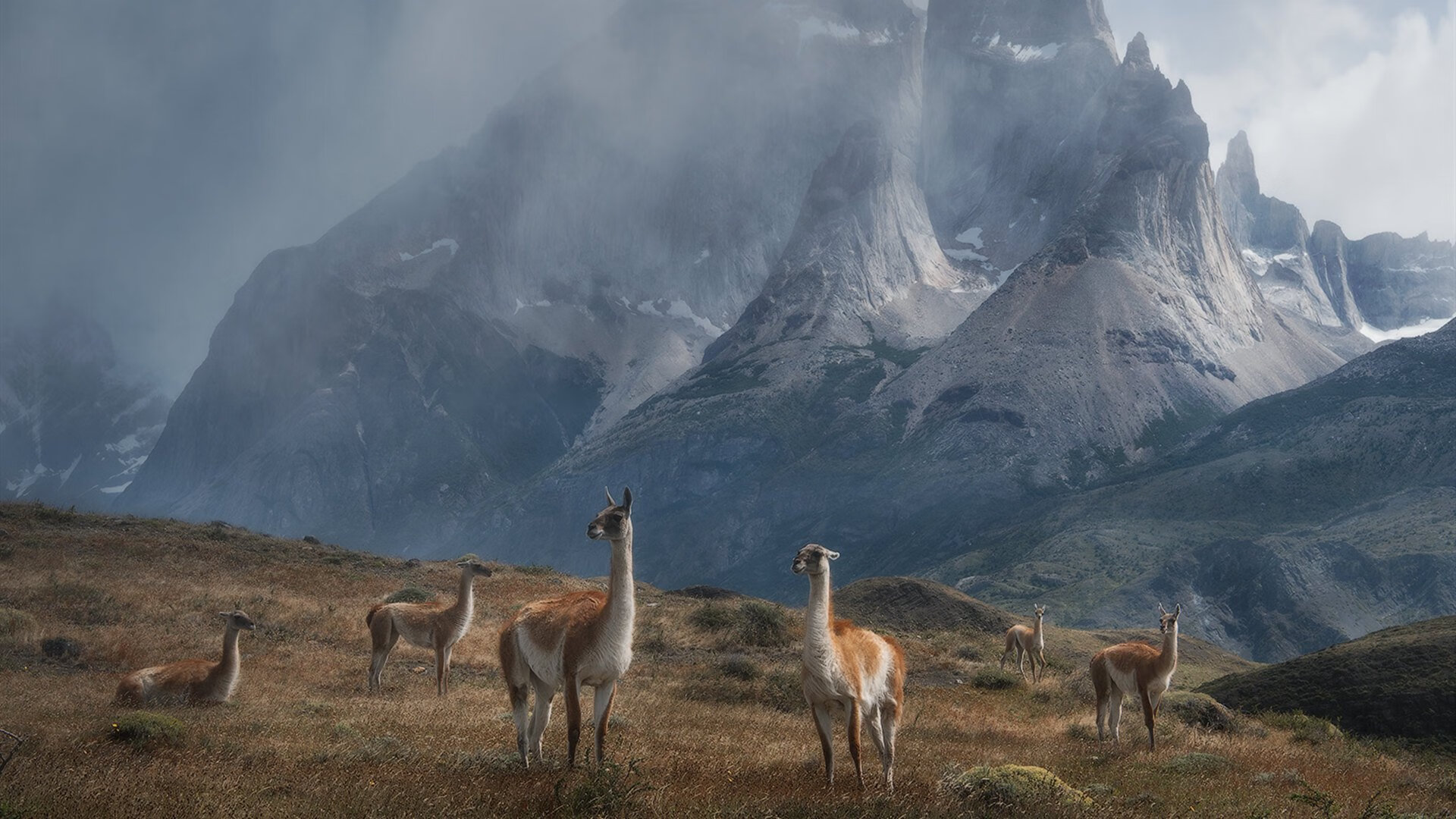 爱游戏平台-国际排球赛，激烈争夺胜利荣耀，国际排球大赛