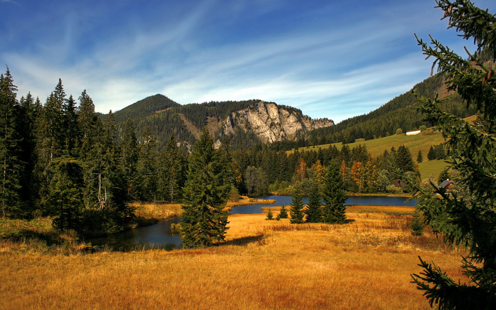 爱游戏体育平台-德甲球队在国际赛事中表现抢眼，荣誉不断，德甲大球队